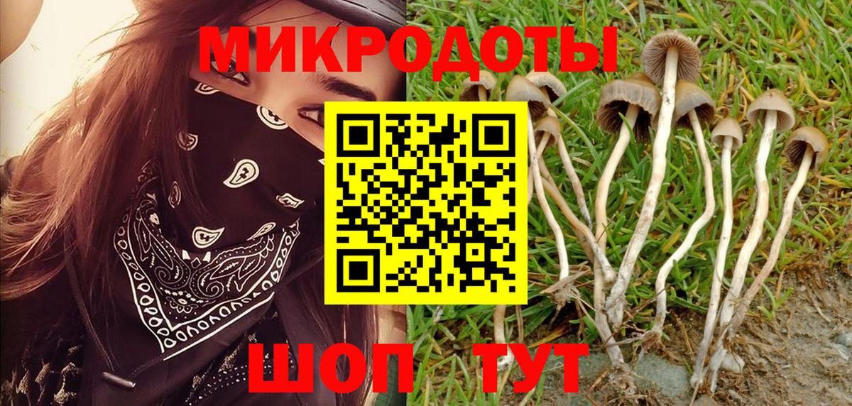 Галлюциногенные грибы мицелий  Вход с VPN  Галлюциногенные грибы Psilocybine cubensis  Усинск 